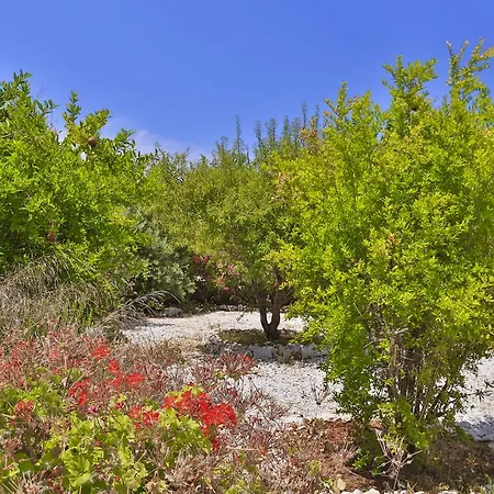 Villa Dilara Kaş